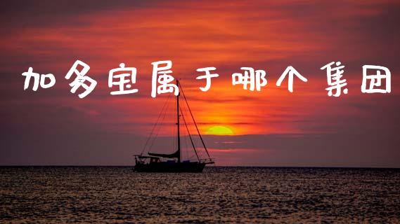加多宝属于哪个集团_https://www.fansifence.com_恒指交易时间_第1张