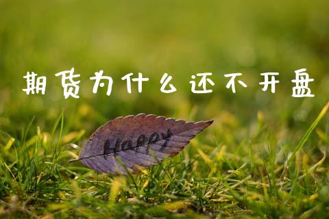 期货为什么还不开盘_https://www.fansifence.com_中国国际期货_第1张