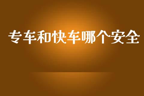 专车和快车哪个安全_https://www.fansifence.com_国际期货行情_第1张