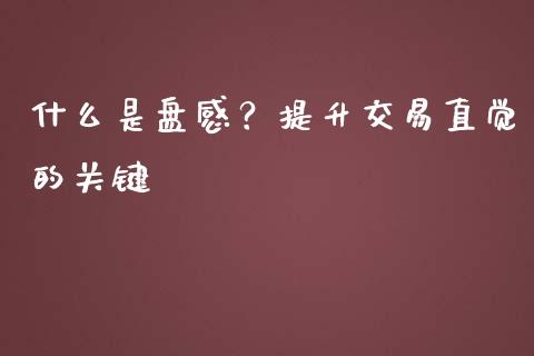 什么是盘感?提升交易直觉的关键_恒指交易时间_第1张_国际期货_中国国际期货_恒指交易时间_国际期货行情 什么是盘感?提升交易直觉的关键_https://www.fansifence.com_恒指交易时间_第1张