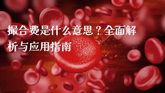 撮合费是什么意思？全面解析与应用指南_https://www.fansifence.com_国际期货_第1张