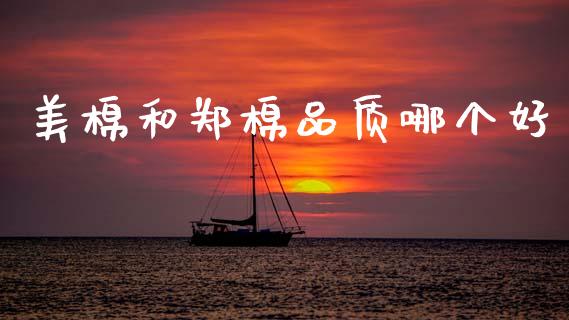美棉和郑棉品质哪个好_https://www.fansifence.com_国际期货_第1张