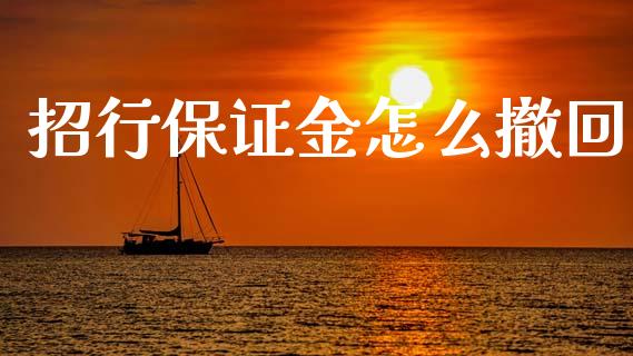 招行保证金怎么撤回_https://www.fansifence.com_国际期货_第1张