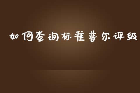 如何查询标准普尔评级_https://www.fansifence.com_恒指交易时间_第1张