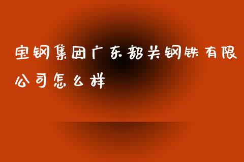 宝钢集团广东韶关钢铁有限公司怎么样_https://www.fansifence.com_国际期货行情_第1张
