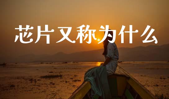 芯片又称为什么_https://www.fansifence.com_国际期货_第1张
