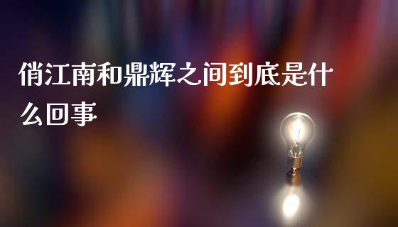 俏江南和鼎辉之间到底是什么回事_https://www.fansifence.com_中国国际期货_第1张
