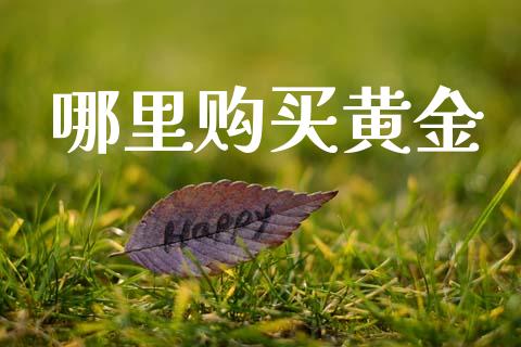 哪里购买黄金_https://www.fansifence.com_国际期货_第1张