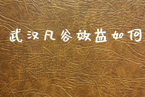 武汉凡谷效益如何_https://www.fansifence.com_国际期货行情_第1张