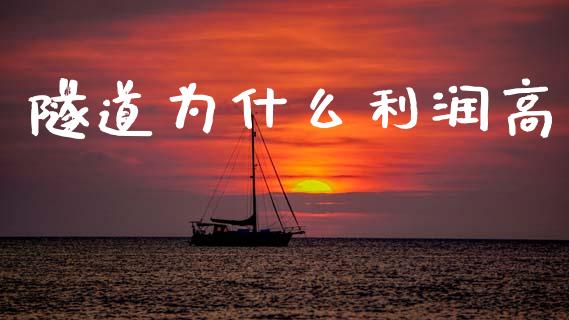 隧道为什么利润高_https://www.fansifence.com_恒指交易时间_第1张