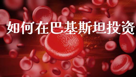 如何在巴基斯坦投资_https://www.fansifence.com_恒指交易时间_第1张