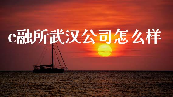 e融所武汉公司怎么样_https://www.fansifence.com_恒指交易时间_第1张