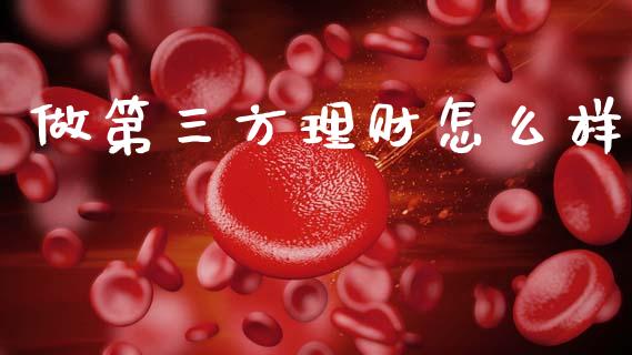 做第三方理财怎么样_https://www.fansifence.com_中国国际期货_第1张