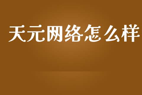 天元网络怎么样_https://www.fansifence.com_国际期货_第1张