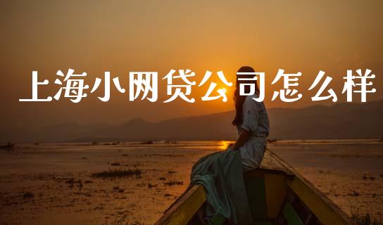 上海小网贷公司怎么样_https://www.fansifence.com_国际期货_第1张