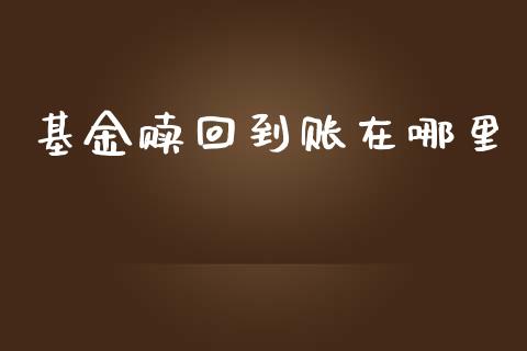 基金赎回到账在哪里_https://www.fansifence.com_中国国际期货_第1张