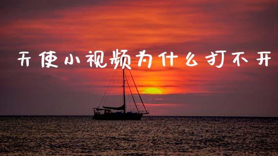 天使小视频为什么打不开_https://www.fansifence.com_国际期货_第1张
