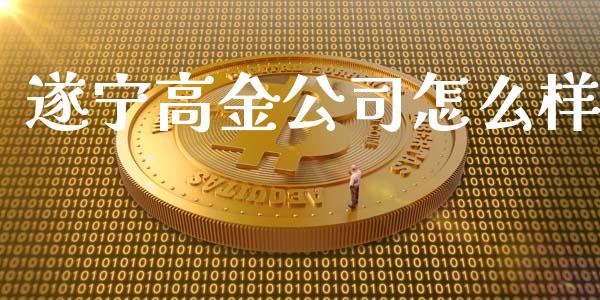 遂宁高金公司怎么样_https://www.fansifence.com_中国国际期货_第1张
