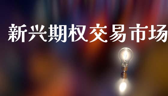 新兴期权交易市场_https://www.fansifence.com_恒指交易时间_第1张
