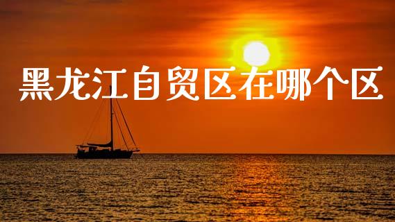 黑龙江自贸区在哪个区_https://www.fansifence.com_恒指交易时间_第1张