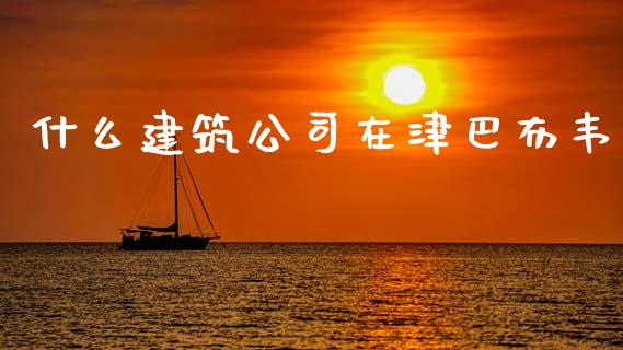什么建筑公司在津巴布韦_https://www.fansifence.com_中国国际期货_第1张