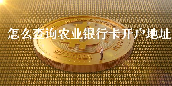 怎么查询农业银行卡开户地址_https://www.fansifence.com_恒指交易时间_第1张