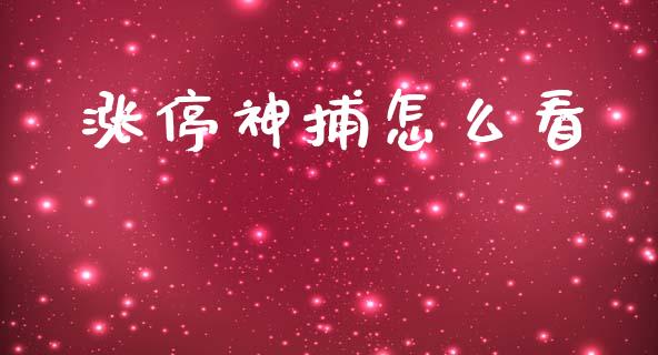 涨停神捕怎么看_https://www.fansifence.com_恒指交易时间_第1张