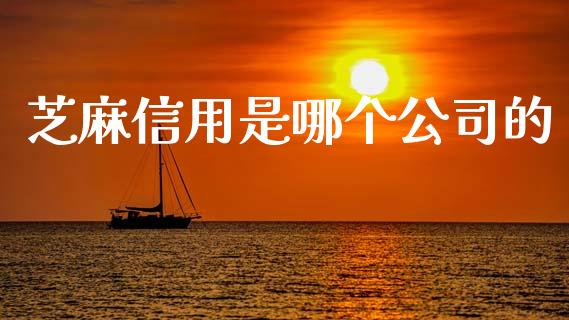 芝麻信用是哪个公司的_https://www.fansifence.com_国际期货_第1张