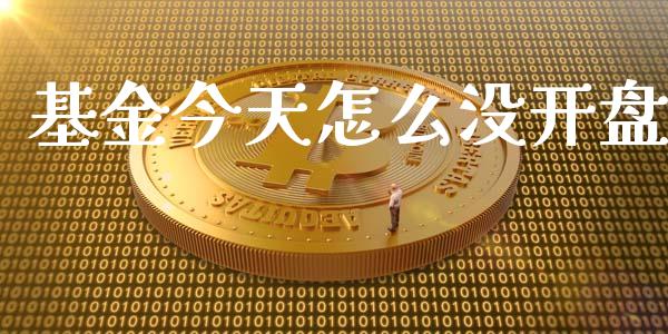 基金今天怎么没开盘_https://www.fansifence.com_国际期货行情_第1张