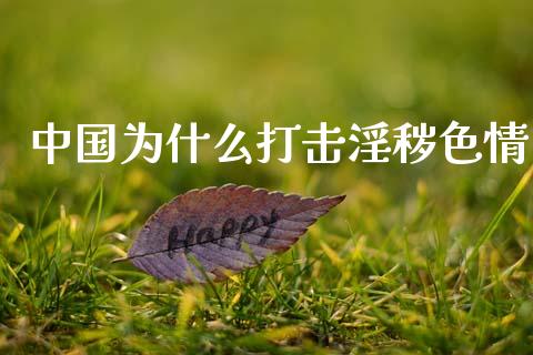 中国为什么打击淫秽色情_https://www.fansifence.com_恒指交易时间_第1张