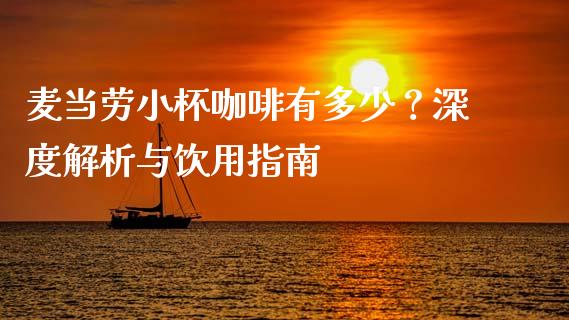 麦当劳小杯咖啡有多少？深度解析与饮用指南_https://www.fansifence.com_中国国际期货_第1张