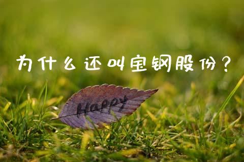 为什么还叫宝钢股份？_https://www.fansifence.com_国际期货行情_第1张