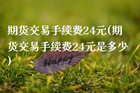 期货交易手续费24元(期货交易手续费24元是多少)_https://www.fansifence.com_恒指交易时间_第1张