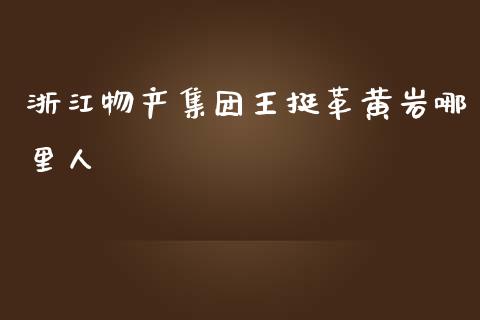 浙江物产集团王挺革黄岩哪里人_https://www.fansifence.com_国际期货行情_第1张
