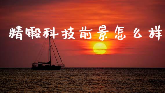 精锻科技前景怎么样_https://www.fansifence.com_国际期货行情_第1张