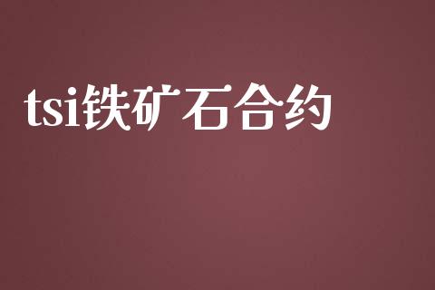 tsi铁矿石合约_https://www.fansifence.com_国际期货_第1张