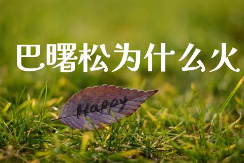 巴曙松为什么火_https://www.fansifence.com_恒指交易时间_第1张