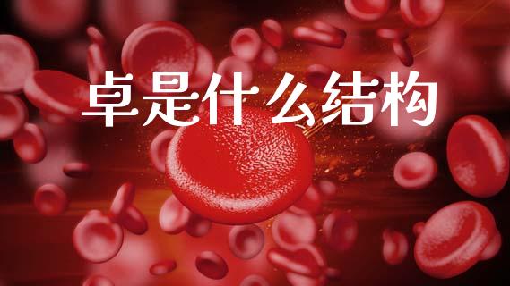 卓是什么结构_https://www.fansifence.com_国际期货行情_第1张