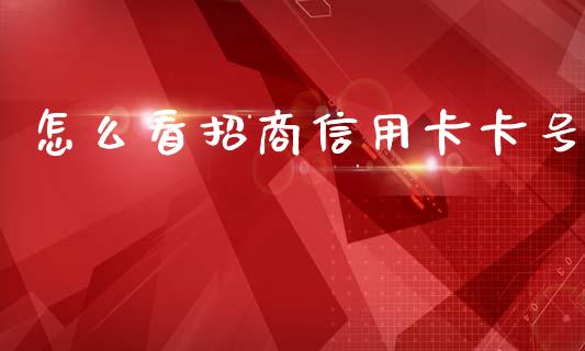 怎么看招商信用卡卡号_https://www.fansifence.com_国际期货_第1张