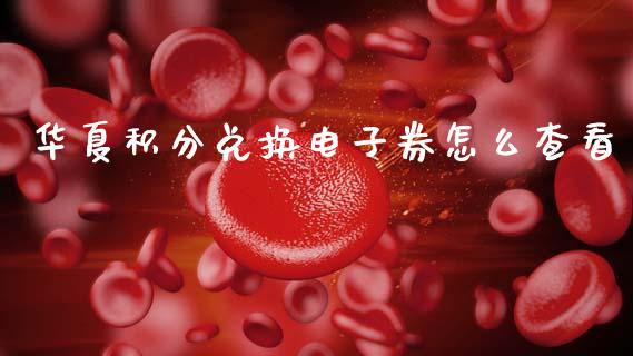 华夏积分兑换电子券怎么查看_https://www.fansifence.com_恒指交易时间_第1张