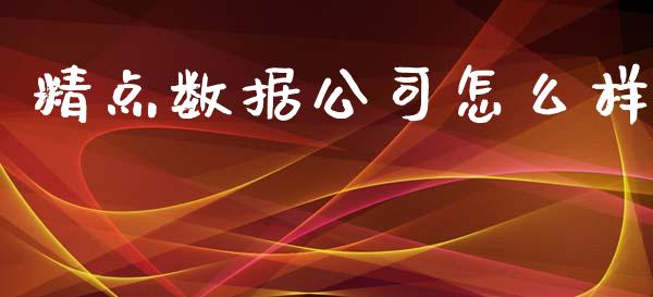 精点数据公司怎么样_https://www.fansifence.com_国际期货行情_第1张