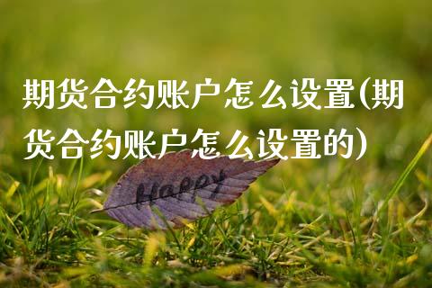 期货合约账户怎么设置(期货合约账户怎么设置的)_https://www.fansifence.com_恒指交易时间_第1张