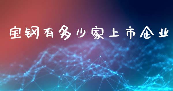 宝钢有多少家上市企业_https://www.fansifence.com_国际期货行情_第1张
