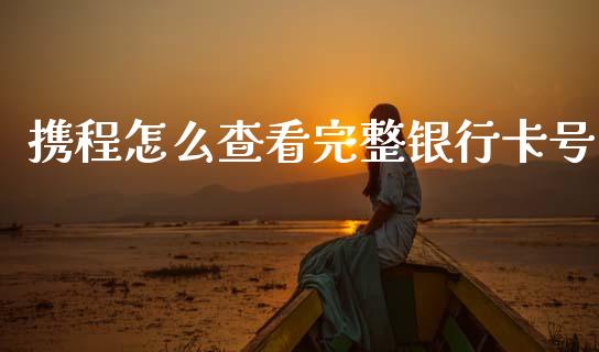 携程怎么查看完整银行卡号_https://www.fansifence.com_国际期货_第1张