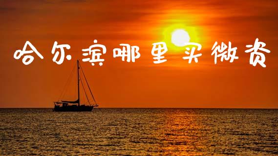 哈尔滨哪里买微资_https://www.fansifence.com_中国国际期货_第1张