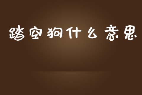 踏空狗什么意思_https://www.fansifence.com_恒指交易时间_第1张