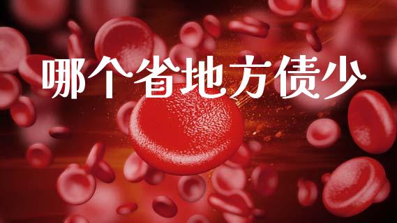 哪个省地方债少_https://www.fansifence.com_中国国际期货_第1张