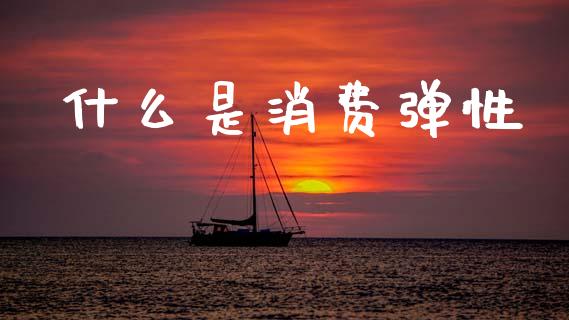 什么是消费弹性_https://www.fansifence.com_中国国际期货_第1张