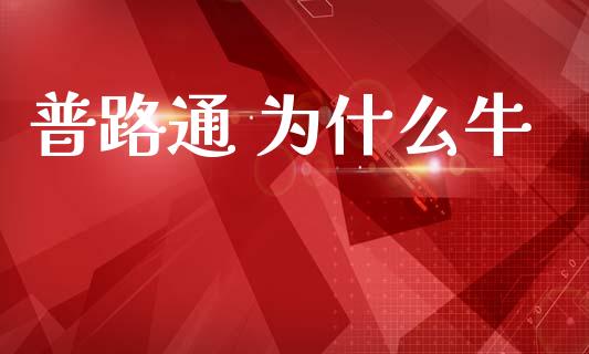 普路通 为什么牛_https://www.fansifence.com_国际期货_第1张