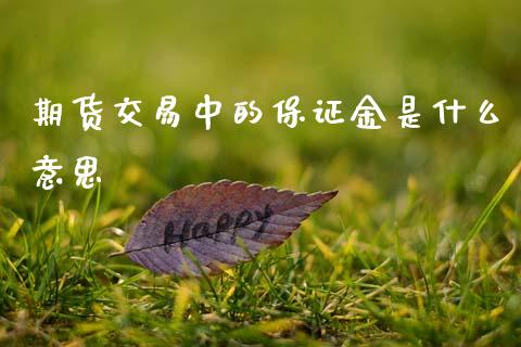 期货交易中的保证金是什么意思_国际期货_第1张_国际期货_中国国际期货_恒指交易时间_国际期货行情 期货交易中的保证金是什么意思_https://www.fansifence.com_国际期货_第1张